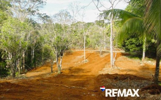 Prime Ocean View Lot | Playa Hermosa