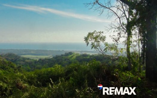 Prime Ocean View Lot | Playa Hermosa