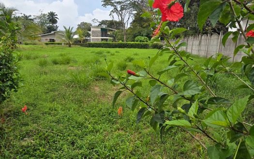 Build-Ready Flat Lot Near Bejuco Beach