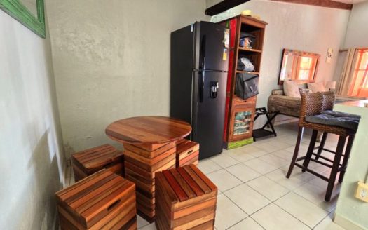 Jaco Beach one-bedroom charming condominium