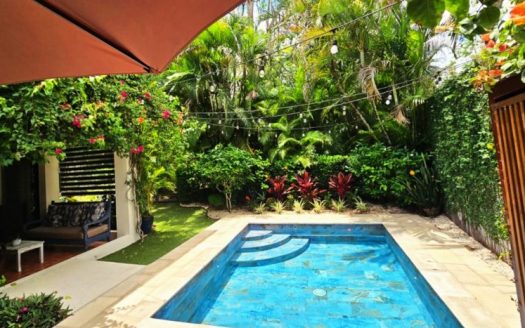 Stunning Beachfront La Flor Single-Family Home