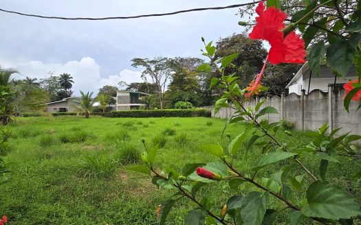 Build-Ready Flat Lot Near Bejuco Beach