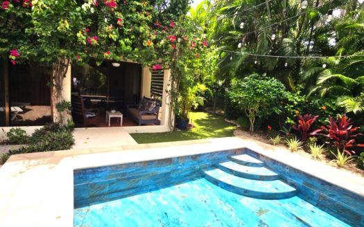 Stunning Beachfront La Flor Single-Family Home  (AK)